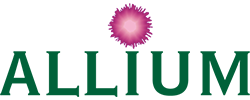 Allium Oy
