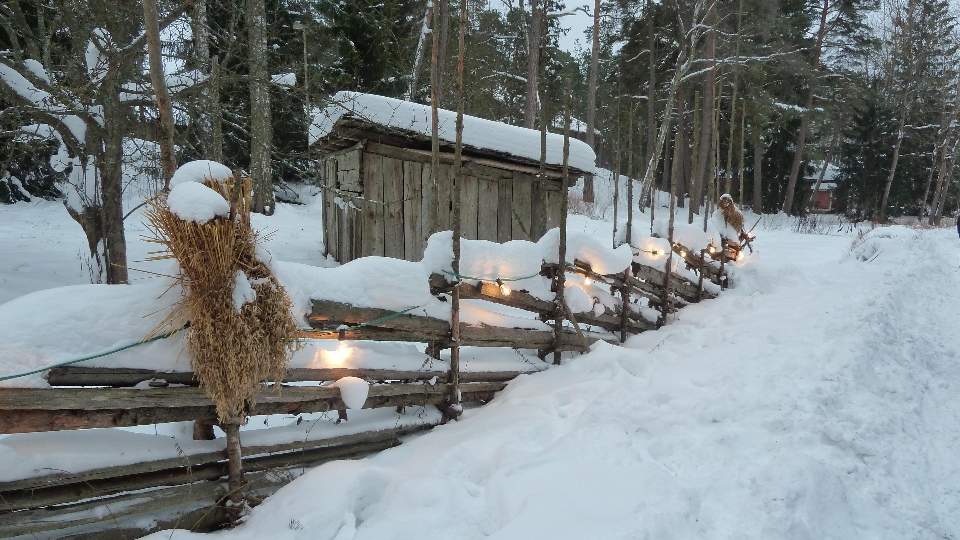 Kuvassa luminen maisema Seurasaaresta sekä perinteistä aitaa, johon on ripustettu olkilyhteitä ja lamppunauhaa. Kuvan on ottanut Miika Lauriala.
