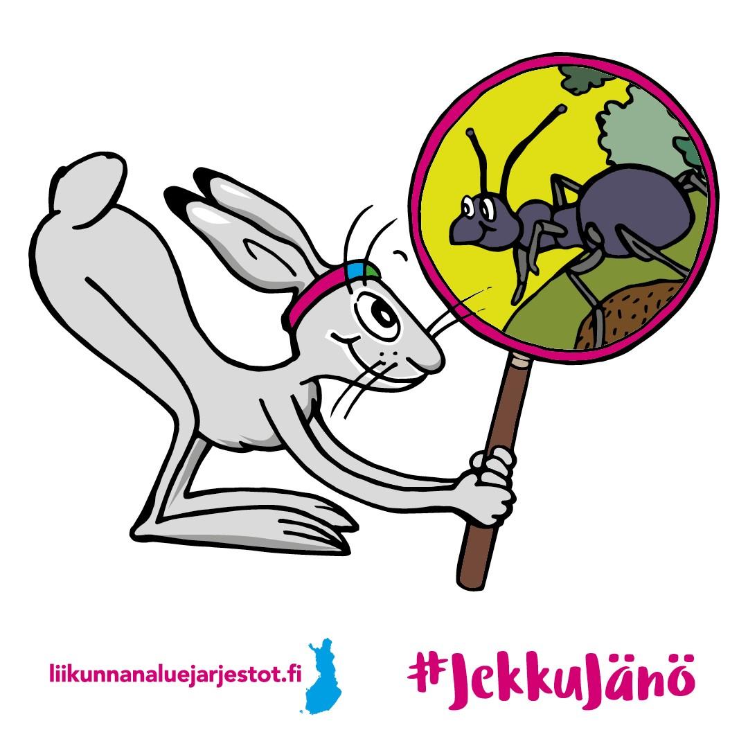 Jekku j n Kymenlaakson Liikunta Ry jekku-j-n-kymenlaakson-liikunta-ry