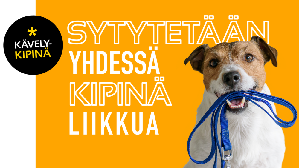 Koira valmiina seuraksi