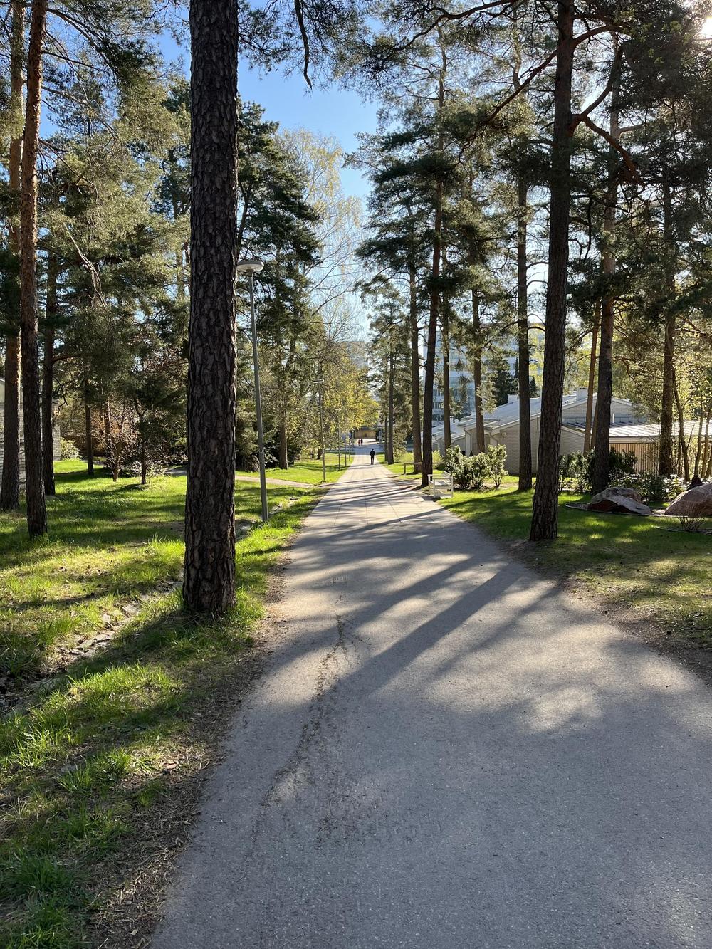 Espoon Latu ja Polku kävelee joka kuukauden viimeisenä perjantaita eri puolella Espoota hankkien kuntoa ja hyvää mieltä.