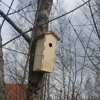 Espoon Latu ja Polku etsii eläinten jälkiä