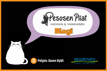 Pesosen Piiat on Pohjois-Savon Kylien ja maakunnan tämänhetkisen Vuoden Kylän, Muuruveden, uusi yhteinen blogi, joka antaa äänen sille, mistä harvemmin puhutaan: maaseudun palveluiden elinehdosta ja tulevaisuudesta.