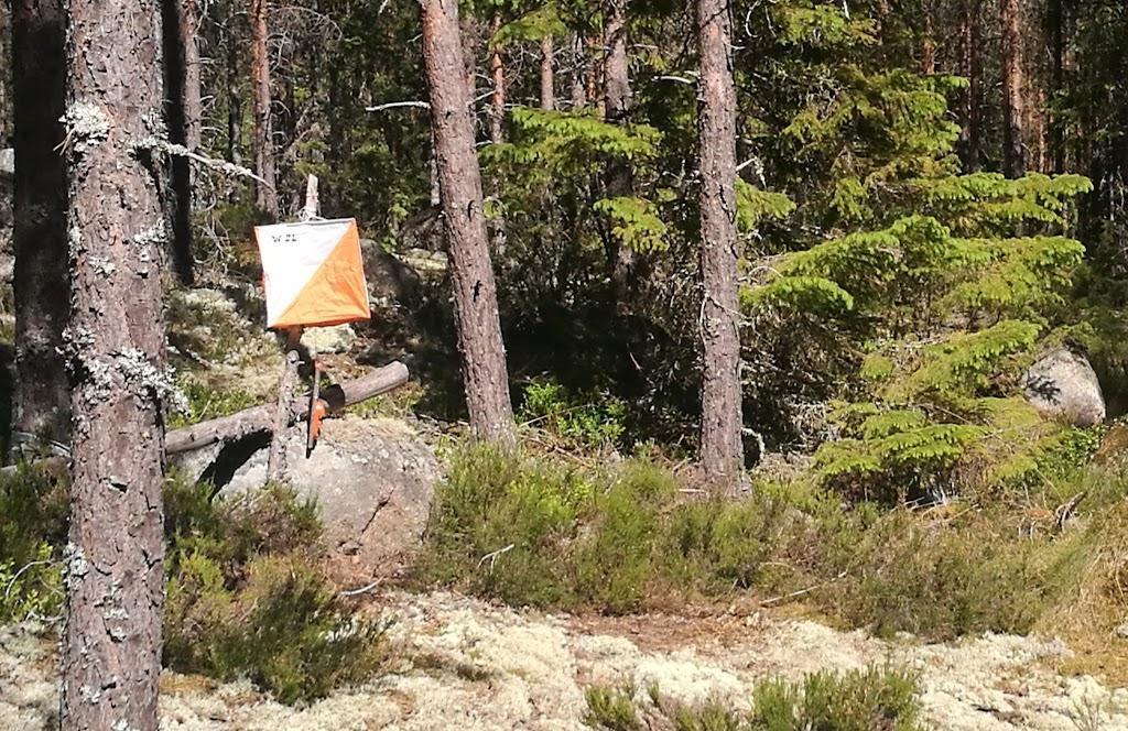 Valkeakosken Iltarastit Valkeakosken Haka Ry Suunnistus
