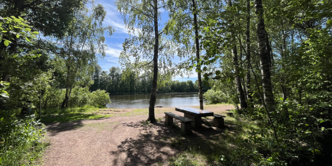 Hiekkatie, joka päättyy verheän lehtipuuston keskelle, puisen pöydän äärelle joen rantaan.