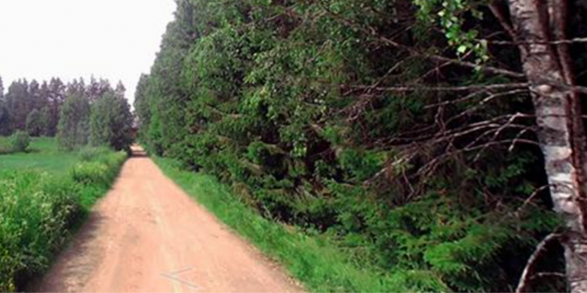 Hiekkatie keskellä kesäistä vehreää pelto-metsämaisemaa.