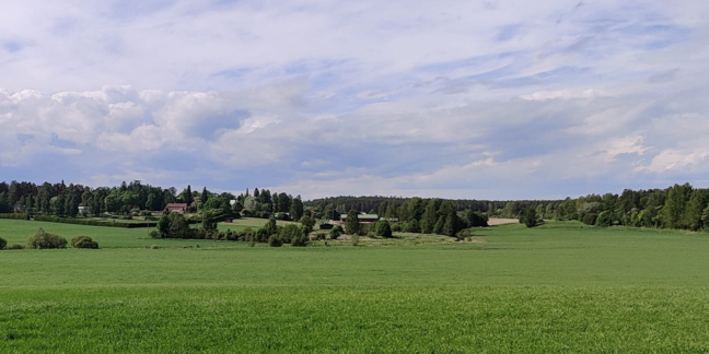 Etualalla vihreää peltomaisemaa, takana puustoa ja yksittäisiä taloja loivan mäen päällä.