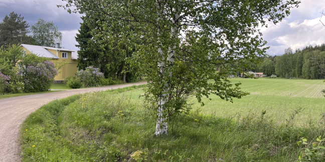 Kiemurteleva hiekkatie, jonka sivuilla muutama talo, vehreää puustoa ja peltoa.
