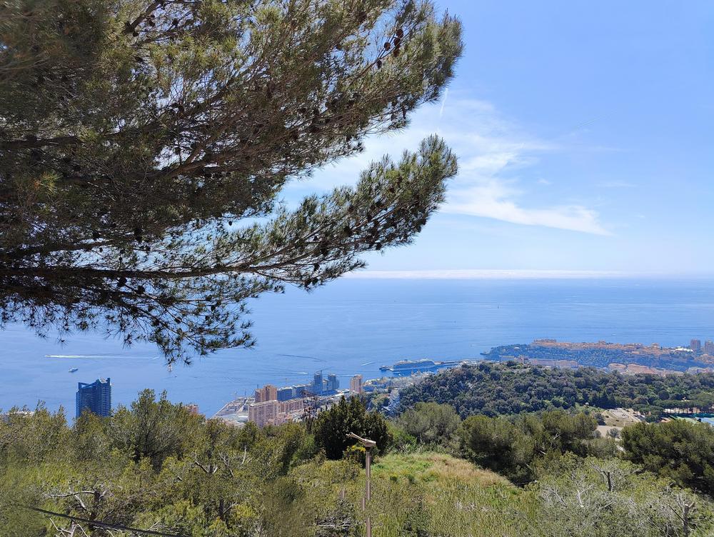 Lähikuva joulukuusen oksasta, jossa roikuu hopeinen joulupallo. Kuva on Pixabay-kuvapankista.