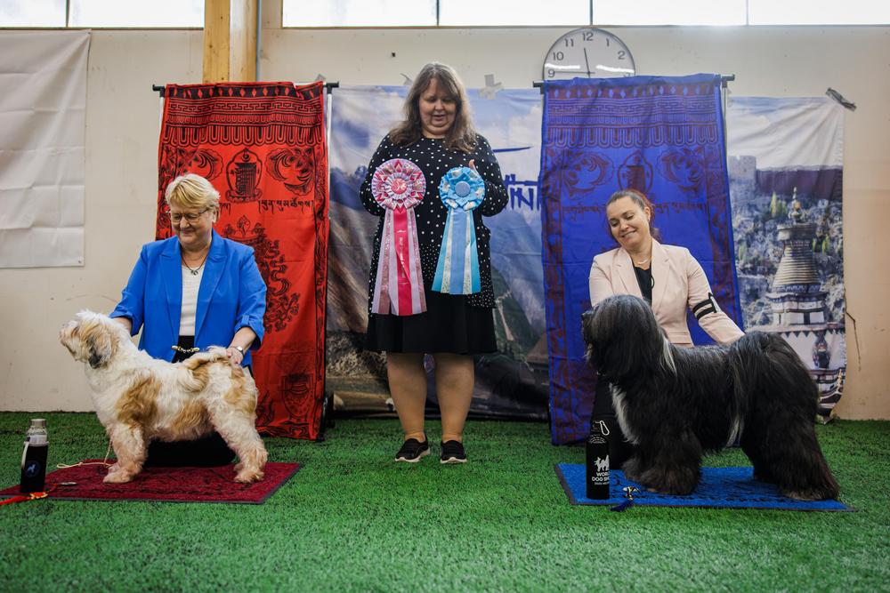 ROP-turisti Amox Fantastic Me om. Jaana Myötyri-Ulmanen
VSP-turisti Pindaros View My Moves Om. Petra Miller