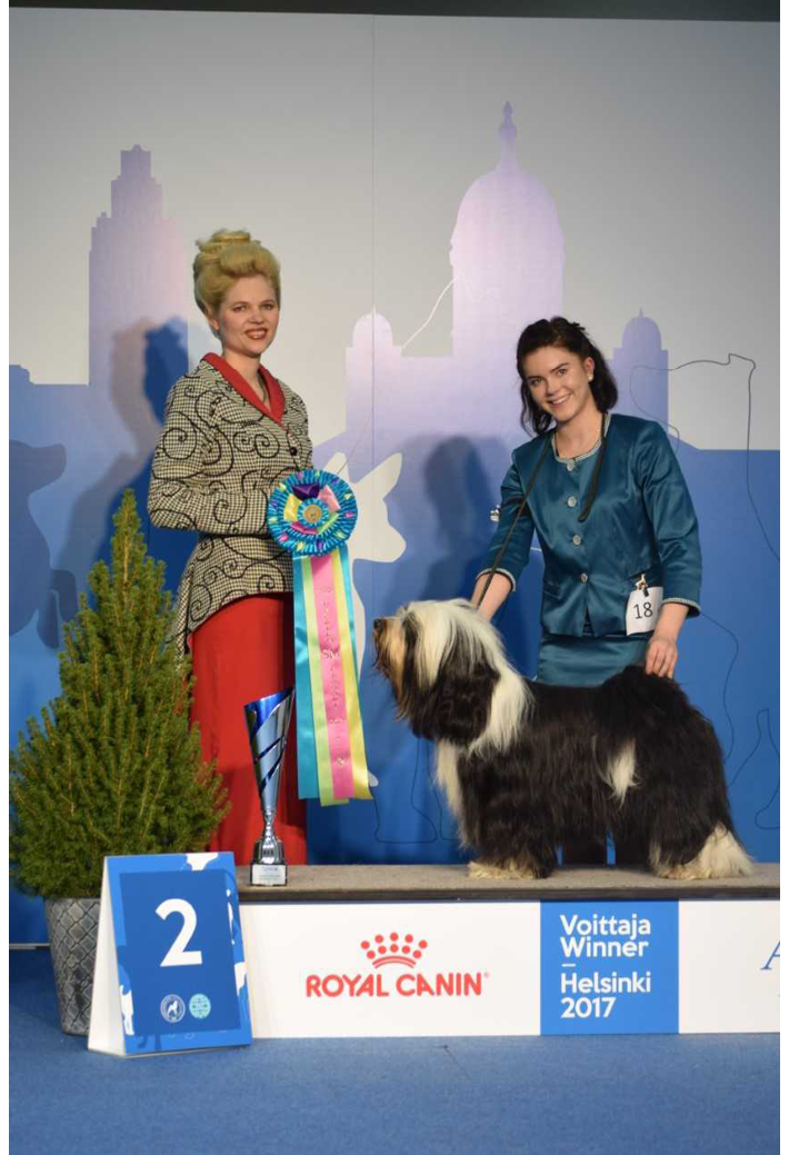 Jenny Pulli sai SM-hopeaa vuonna 2017 tiibetinterrierin kanssa.