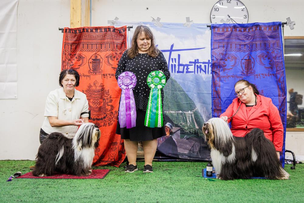 ROP-VETERAANI
SADI-YA’S SOMETHING TO TALK ABOUT
om. Minna Granskog & Pirjo Carlson

VSP-VETERAANI
FABULOUS TEDDY’S LEADER OF THE GANG
om. Salo Tarja