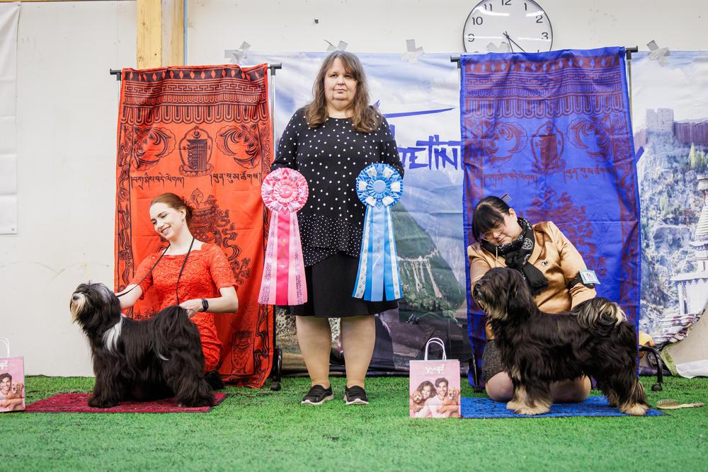 ROP juniori
CHAMBANYA XTREMELY CLASSIC CUTIE
om. Janette ja Jolanda Fröberg

VSP juniori
PET PURSUIT WAVE OF THE FUTURE
om. Jenna Timonen & Sini Halme