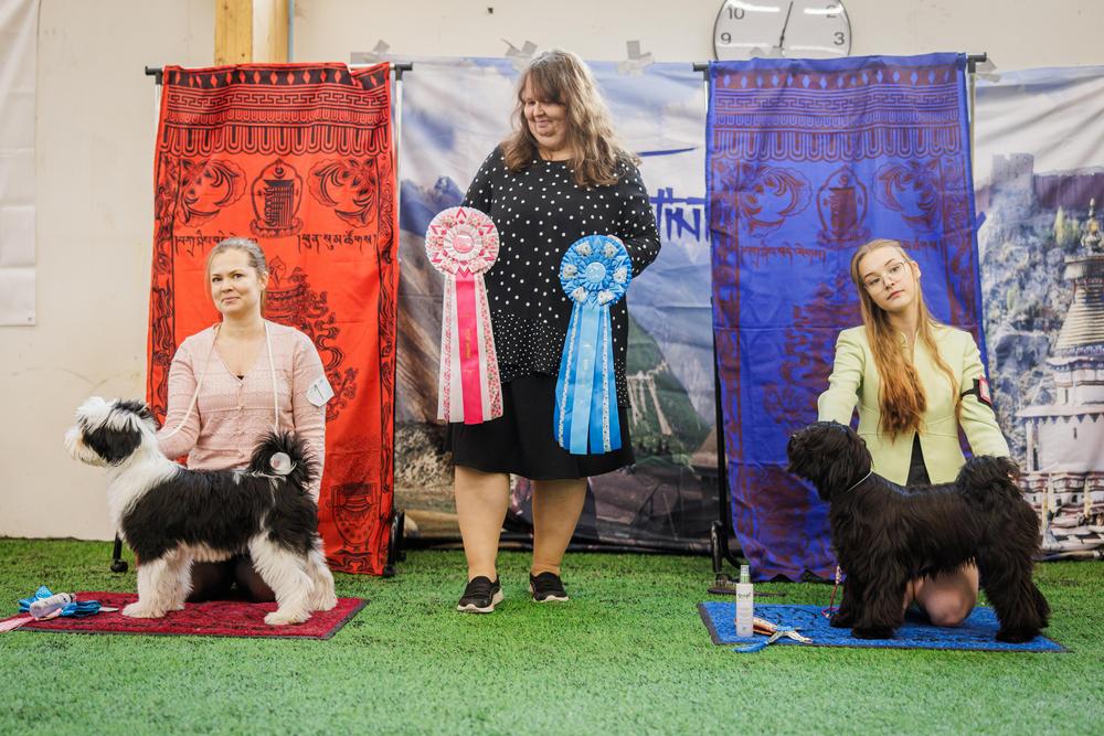 ROP-pentu
PINDAROS AWESOME DALLAS COWBOY
om. Henna Mäkiö

VSP pentu 
PET PURSUIT XCELLENCE IS ATTITUDE
Karoliina Kanerva, Juha Laatikainen & Jenna Timonen