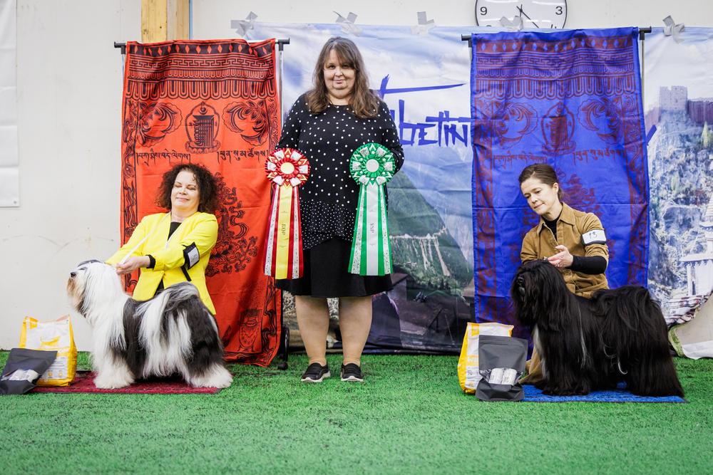 ROP
C.I.B. FI, SE, NO, DK, EE, LV , LT , LT GR , BALT , LT KL MVA V-24 HeW-24 EEV-25 ARCTICW-25 
PINDAROS UNICORN MADE ME DO IT  
Omistaja: Tiina Saltbacka

VSP
FI JMVA HECJW25 EEJV25 EKLW25 
SUMANSHU PAINT ME A PICTURE PERFECT  
Omistaja: Tanja Hakamo & Laura Lehdistö