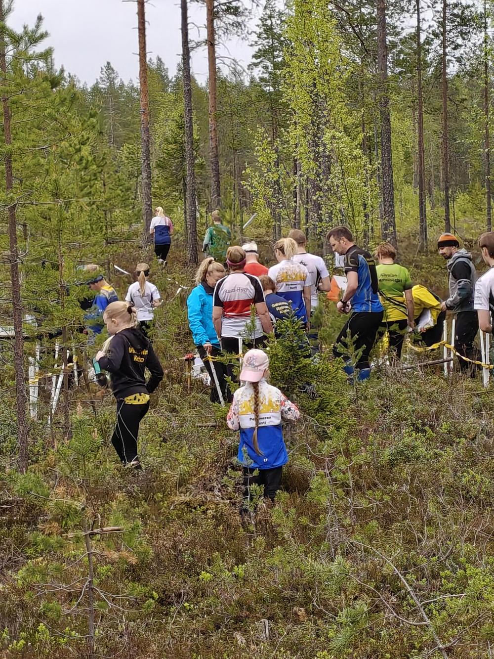 Suunnistajia maastossa lähdössä matkaan Pasi Ikosen rasteilla Kiimingissä 7.6.2025