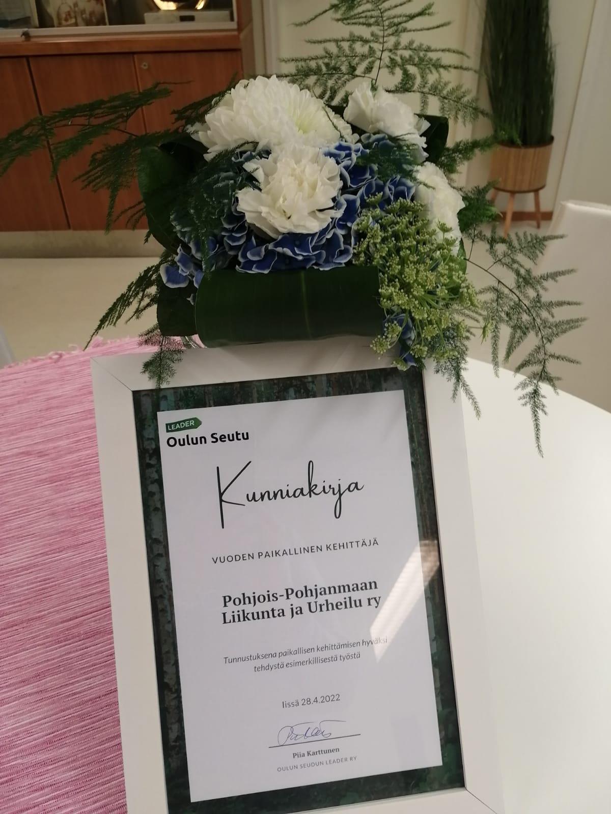 Oulun Seudun Leadein PoPLille myöntämä Kunniakirja Vuoden paikallinen kehittäjä.