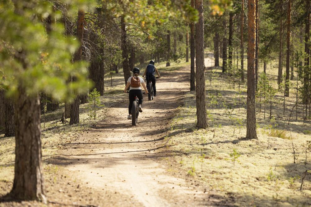 Kaksi henkilöä pyöräilemässä Rokuan metsätietä.