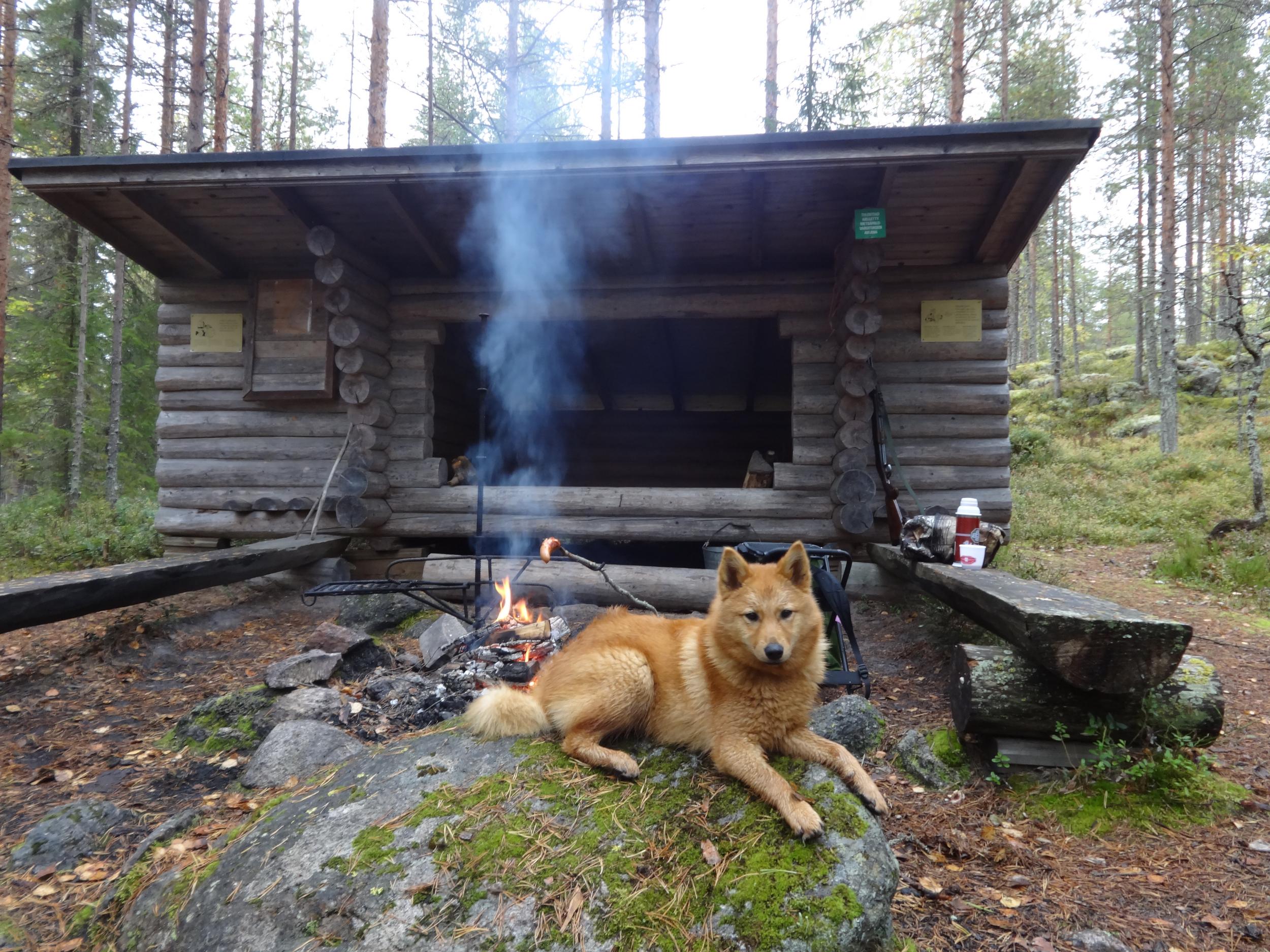 Kuvagalleria | Koivujärven metsästysseura Ry