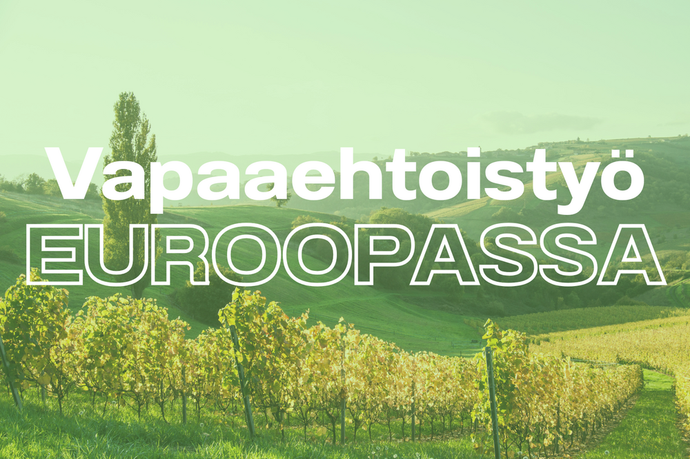Kumpareinen pelto, jossa etualalla viiniviljelmiä ja puu. Kuvassa lukee "vapaaehtoistyö Euroopassa".