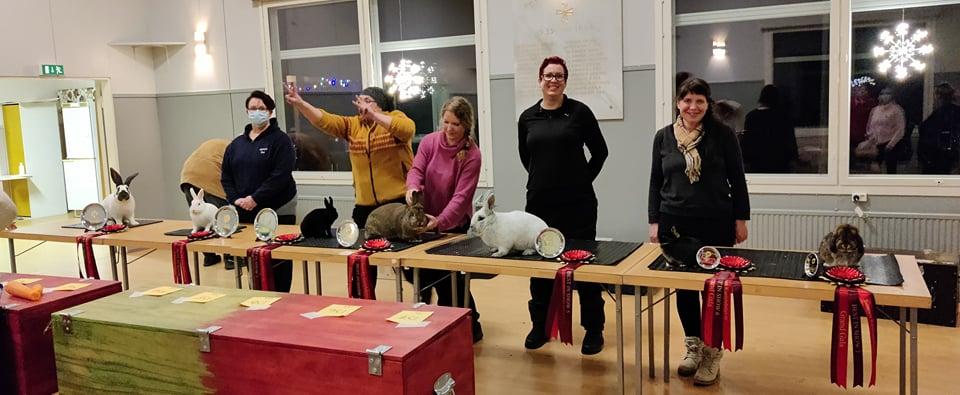 Tulokset 2021 Suomen Kaniyhdistys Ry Tulokset 2021 Suomen Kaniyhdistys Ry