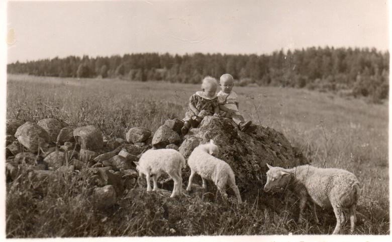 Lapsuuden idylliä Paalimäessä Leppävirralla 1936. Kuvassa kaksoset Martti ja Eeva Korhonen (WT 2013 s. 19, taulu 35).
Kuva Martti Korhosen arkistosta.
