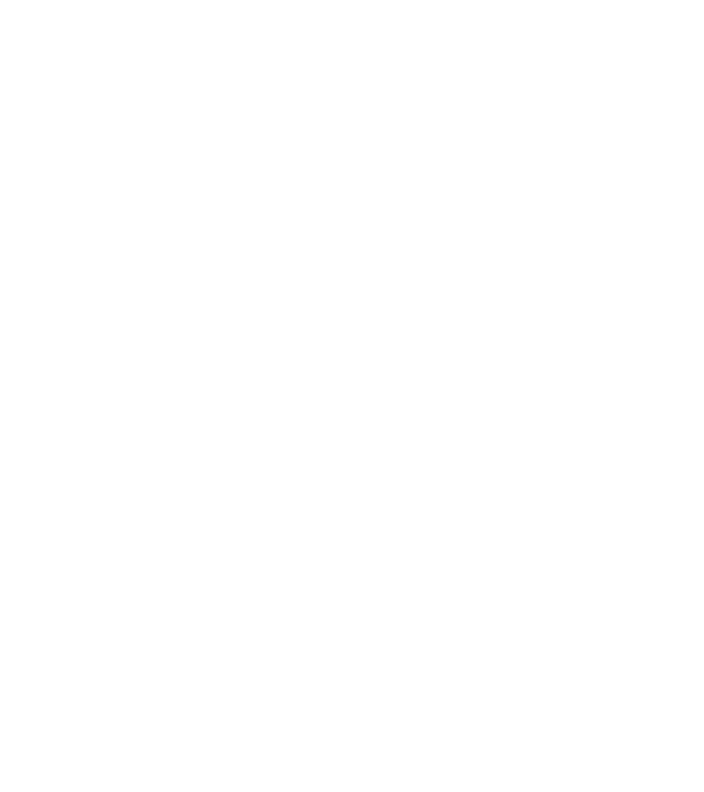 Raision Salibandy logo