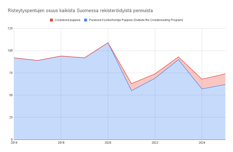 Roturisteytysjälkeläisten määrä näkyy kuvaajassa punaisena alueena ja muiden jälkeläisten määrä sinisenä alueena. Punainen alue muodostaa kapeahkon alueen sinisen raidan yläpuolelle jatkuen melko tasaisena vuodesta 2021 eteenpäin. Pentujen kokonaismäärässä sen sijaan ollut viime vuosina paljon vaihtelua, mikä näkyy kaavion väriäalueiden korkeuksien voimakkaana vaihteluna.
