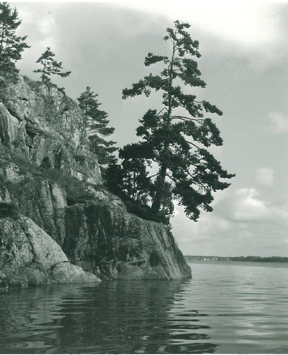 Vanha kuva Sarvikalliosta