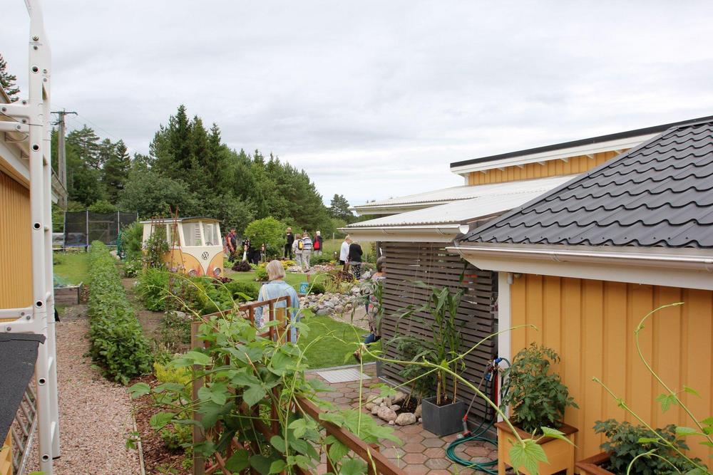 Illoisten siirtolapuutarha / ryhmäpuutarha: Talvi Illoisissa