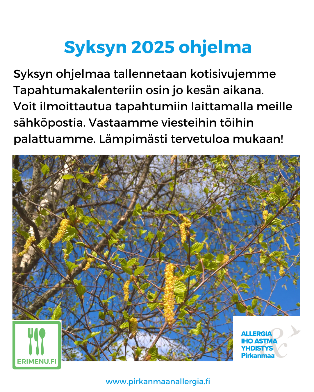 Kuvassa kuvituskuvana keväinen koivu lehtineen.