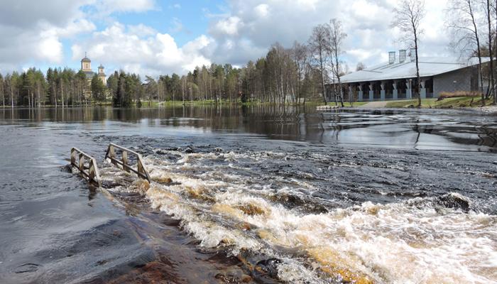                                                          
                                                                                                                                                                             
Kuva: Jorma Korhonen