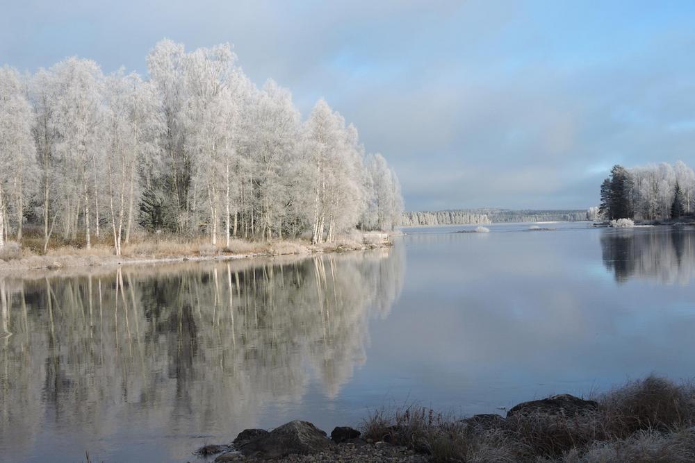                                                           
                                                                                                                                                                             
Kuva: Jorma Korhonen
