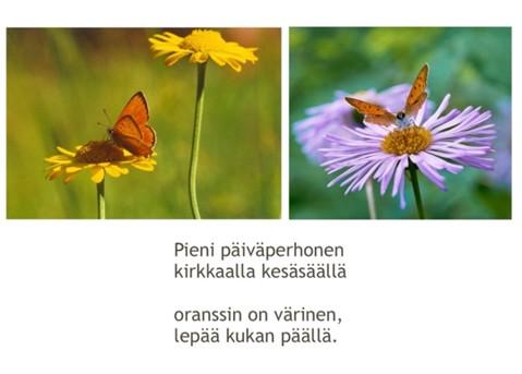 Kuva lorukirjan sivusta, jossa kukkasia ja perhosia