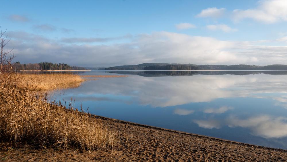 Rauhallinen järvimaisema, rannoilla kullanruskeaa heinää