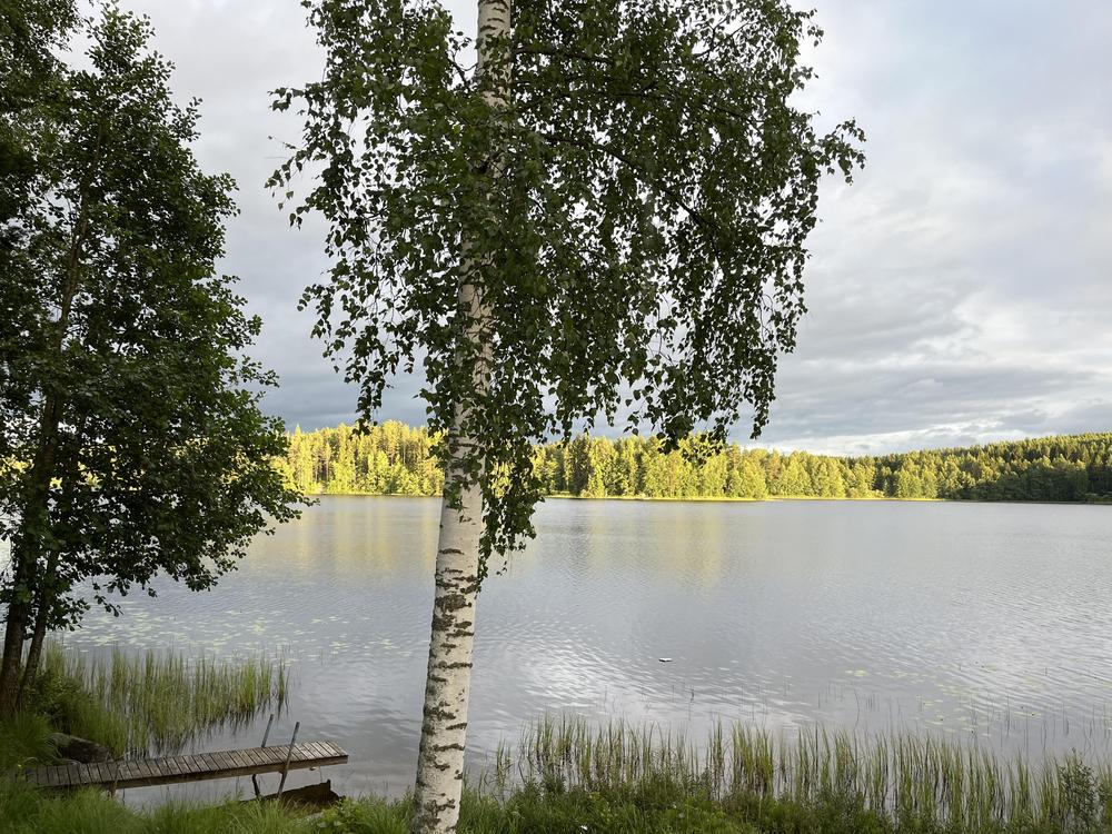 Kuvassa on suomalainen järvimaisema ja koivu.