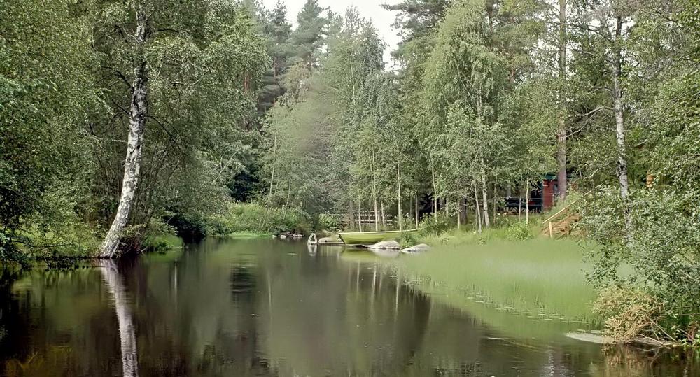 Suonenjoki, kaunis kesäinen ranta, tyyni veden pinta