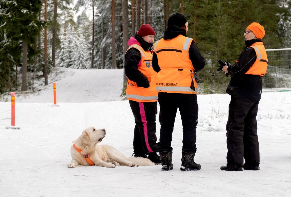 Kolme pelastuskoiraohjaajaa suunnittelemassa treeniä. Pelastuskoira makaamassa odottaen rauhassa treenien alkamista.