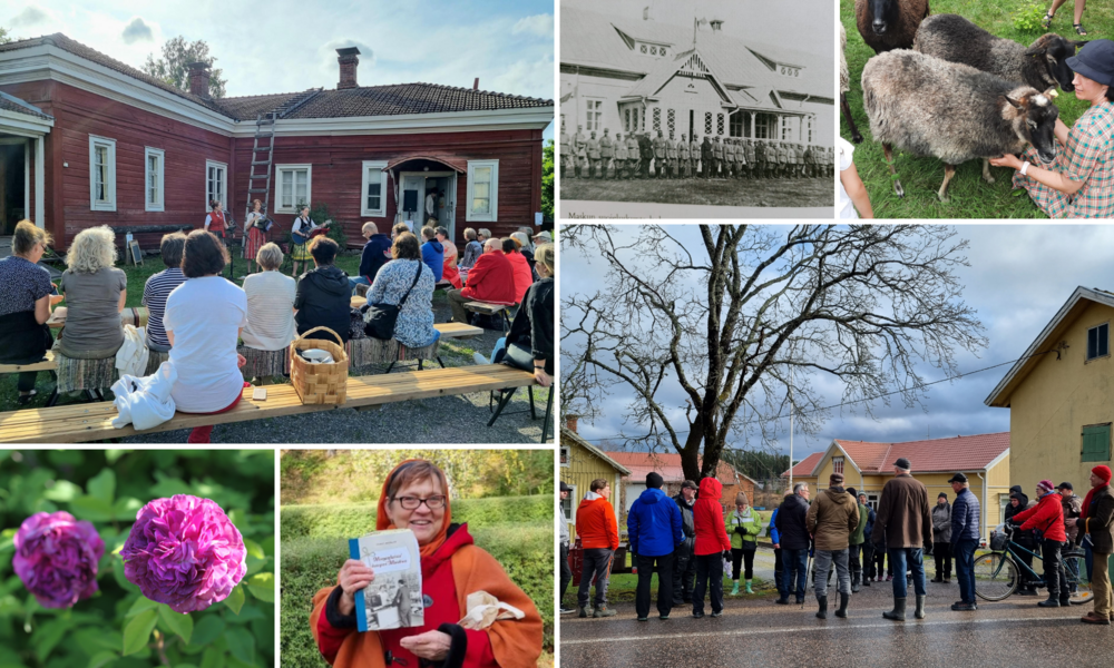 Runon ja Suven päivä Maskun museolla: Punamultaisen museon edessä kesäpäivänä yleisö istuu pitkillä puupenkeillä  kuuntelemassa musiikkiesitystä. Rosariumin ruusut ja Viivillä Monenlaissi kaupoi Maskus kirja. Oik. Maskutalo 100 v. sitten, lammassunnuntai ja Kurittulan retki.