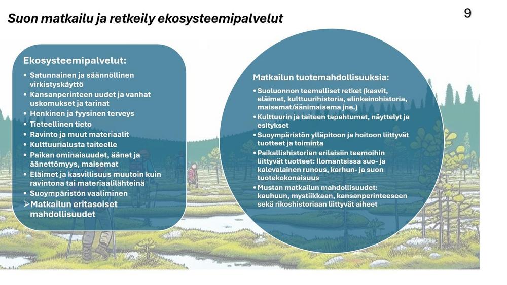 Tietokortti 9 esittelee suon matkailu- ja ekosysteemipalveluita