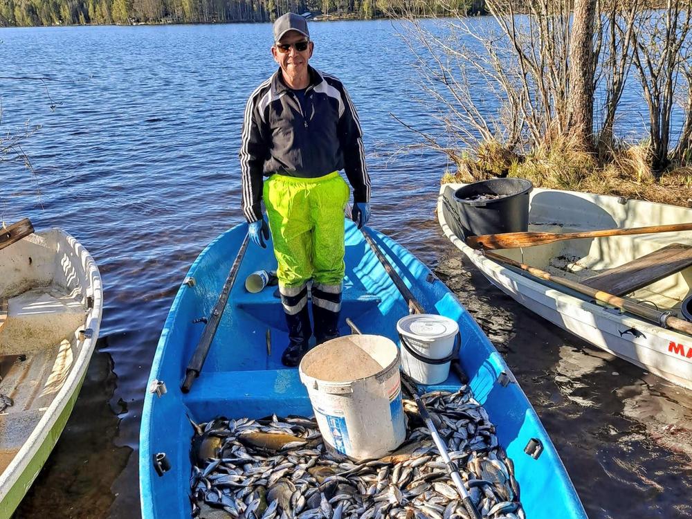 Kalastaja seisoo rannalla soutuveneessä, jossa on paljon kalaa.