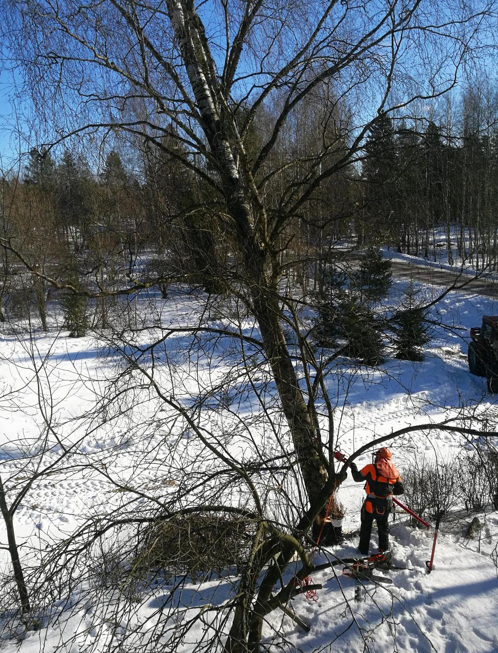 ihmisiä