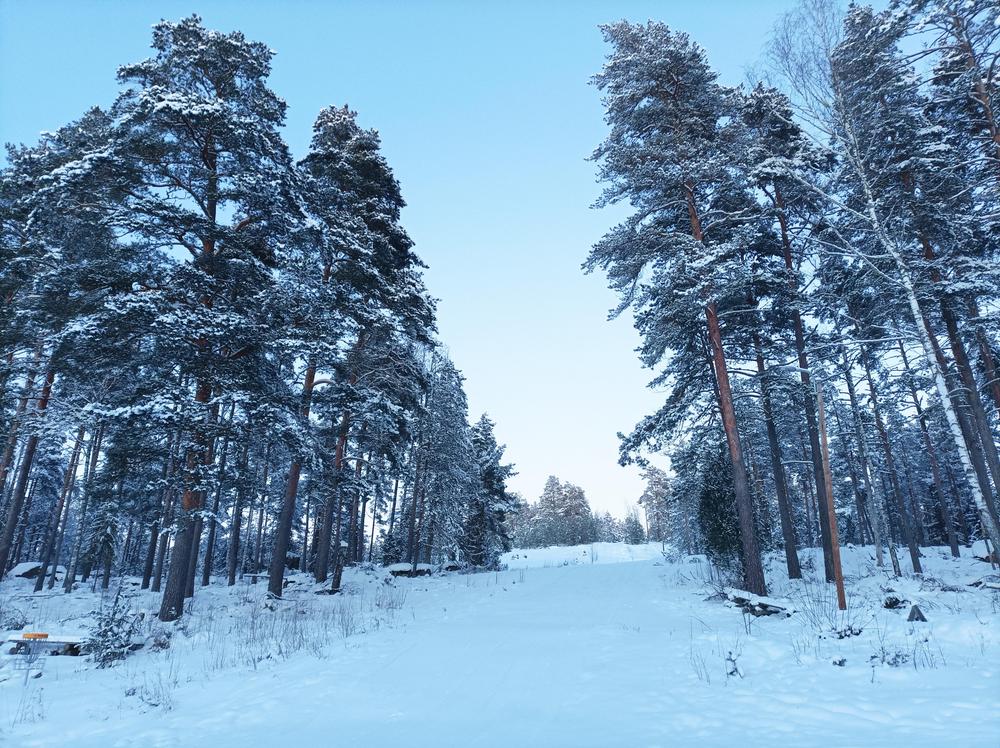 Vastilan keskustassa oleva upea Tammenkallio on perinteinen kokoontumispaikka Urheilukentän vieressä.