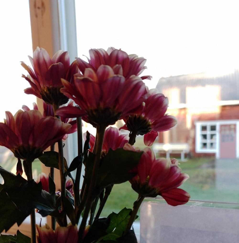 Kuvassa näkyy kuinka kolme ihmistä pelaa bingoa. Kesäinen kuva Tuokiotuvalta. 