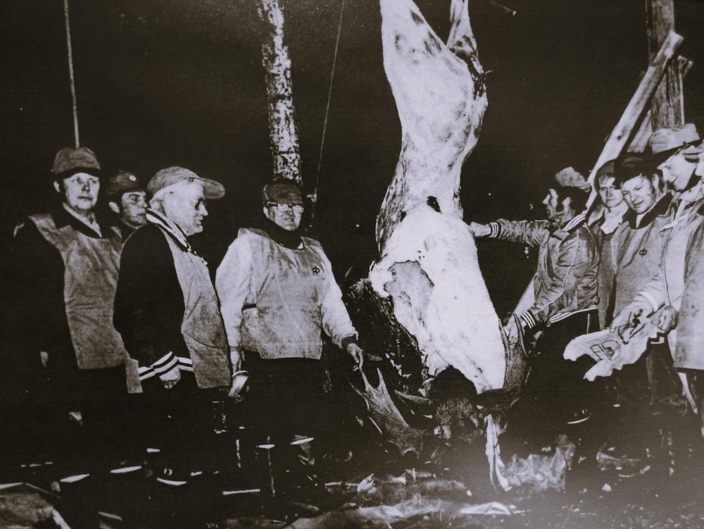 Kinnulan Erämiehet ovat kokoontuneet paloittelemaan saalistettua hirveä.