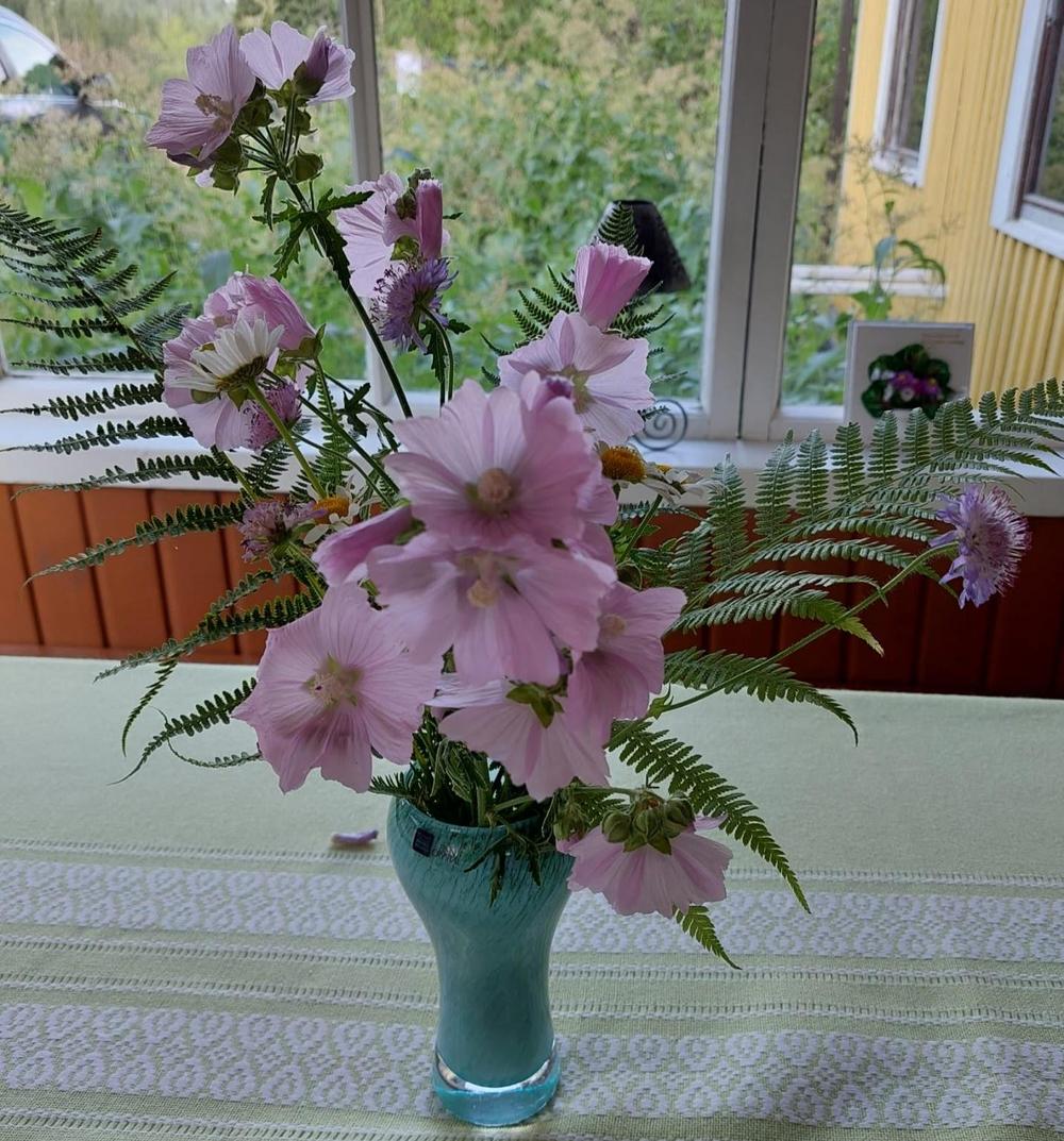 Vaaleanpunainen kukka kukkaruukussa pöydällä.