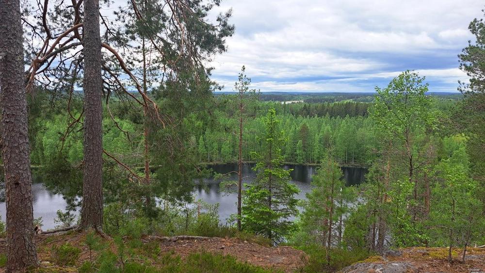 Riuttavuorelta näkyy lampi alhaalla ja mäntymetsää.