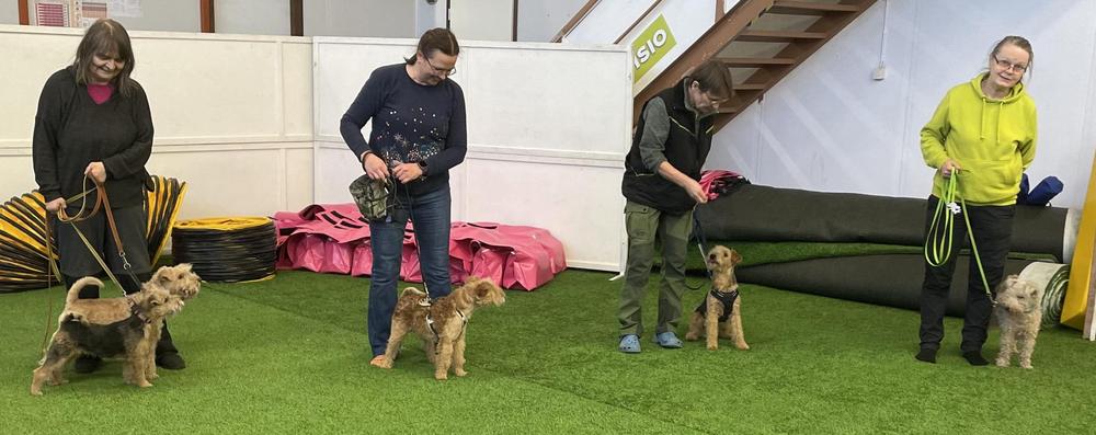 Lakelandit treeneissä vuosikokouksen yhteydessä 2025