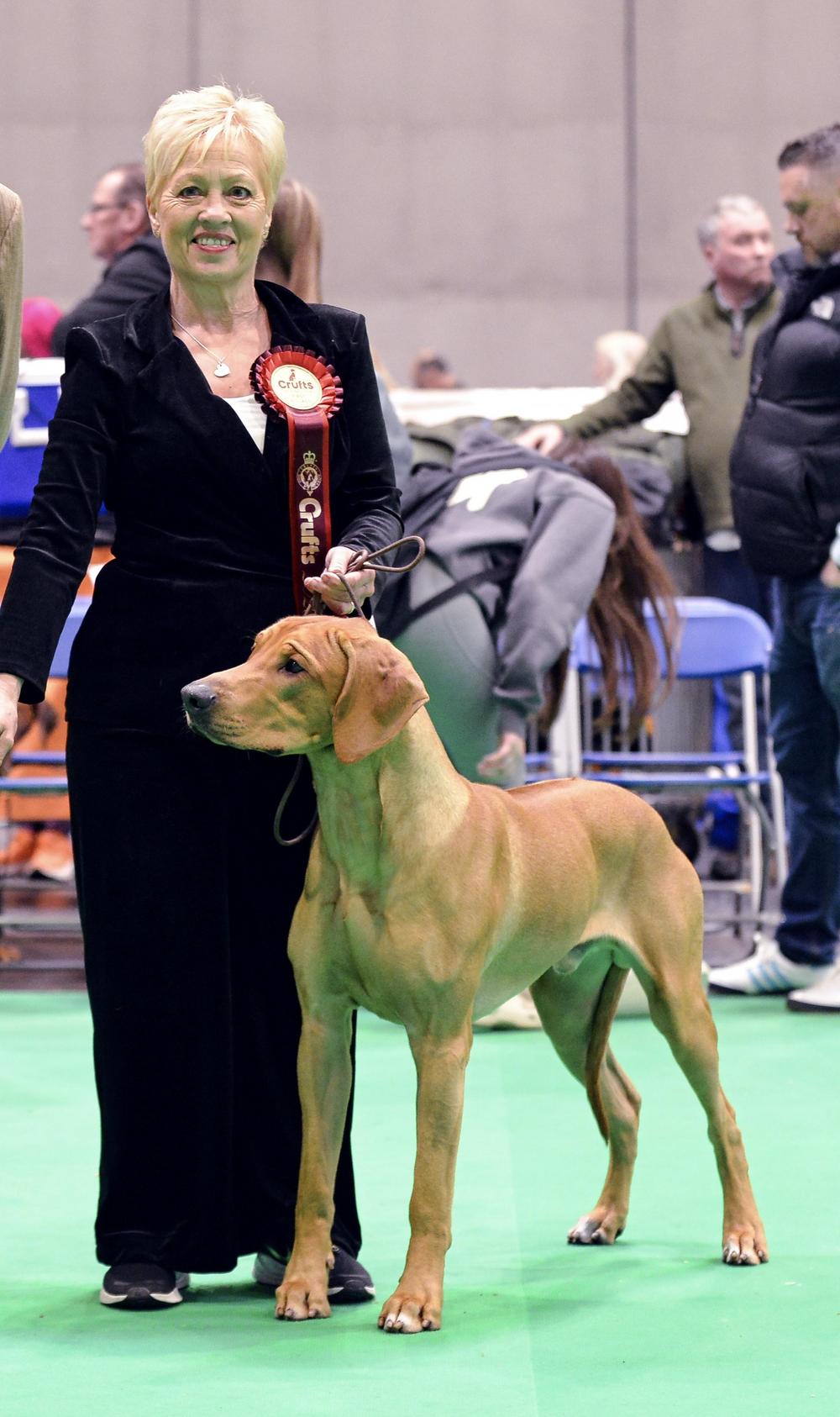 nainen koiran kanssa koiranäyttelyssä