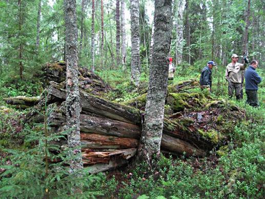 Sutisen kämpän pohja